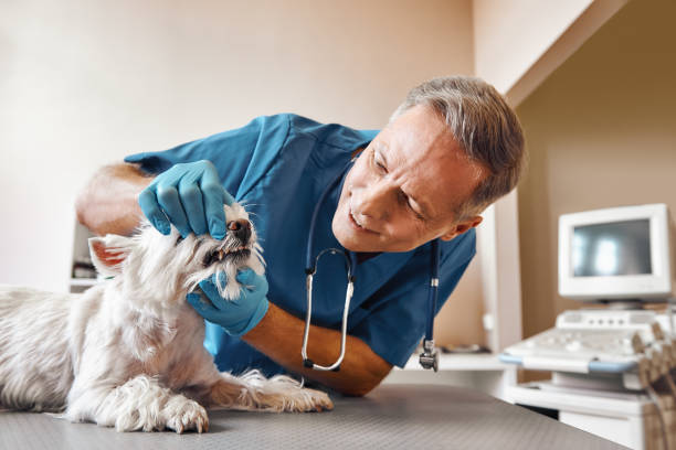Best Emergency Tooth Extraction in Three Way, TN